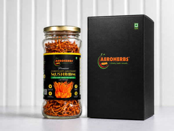 50gm pack (1) Cordyceps Militaris Dried Fruiting Bodies- 50gm
