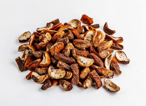 AI_Product_Images Cordyceps Militaris Substrate Cake _Dried_ -500gm 70c685a8-b25c-4b2a-b021-967177ab4170.jpg Cordyceps Militaris Substrate Cake (Dried) -500gm