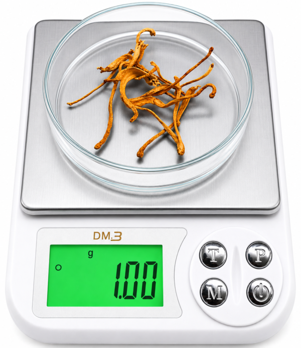 ChatGPT Image Jun 9, 2026, 09_29_10 AM (1) Cordyceps Militaris Dried Fruiting Bodies- 30gm